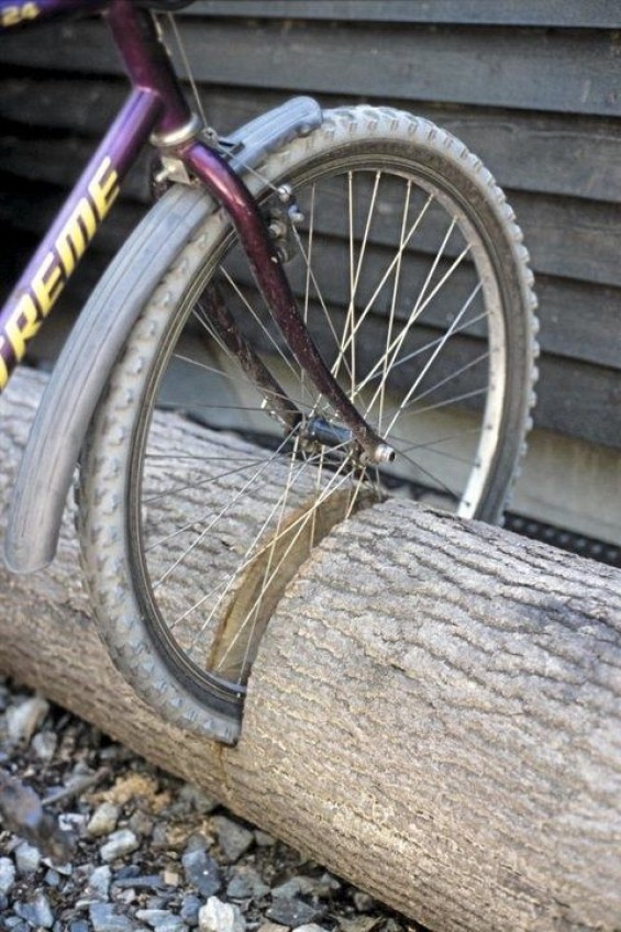 Bedenk goed wat je met een boomstam doet! | Passie voor techniek - EchtWerk.nl